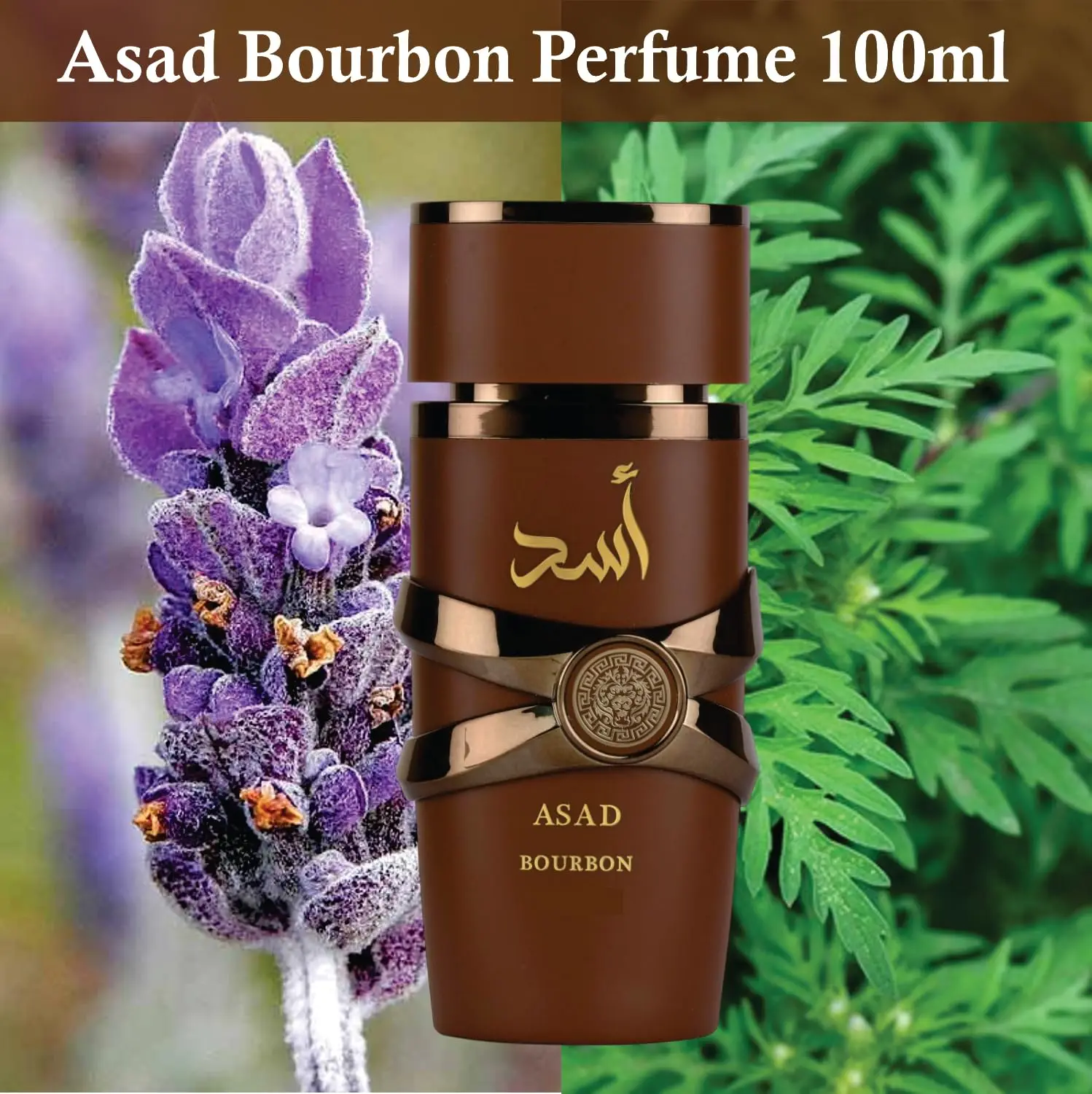Saphirs Wahl: Asad Parfüm | Asad Bourbon Eau De Parfum für Männer 100ml | Vanille-, Lavendel- und Amberduft