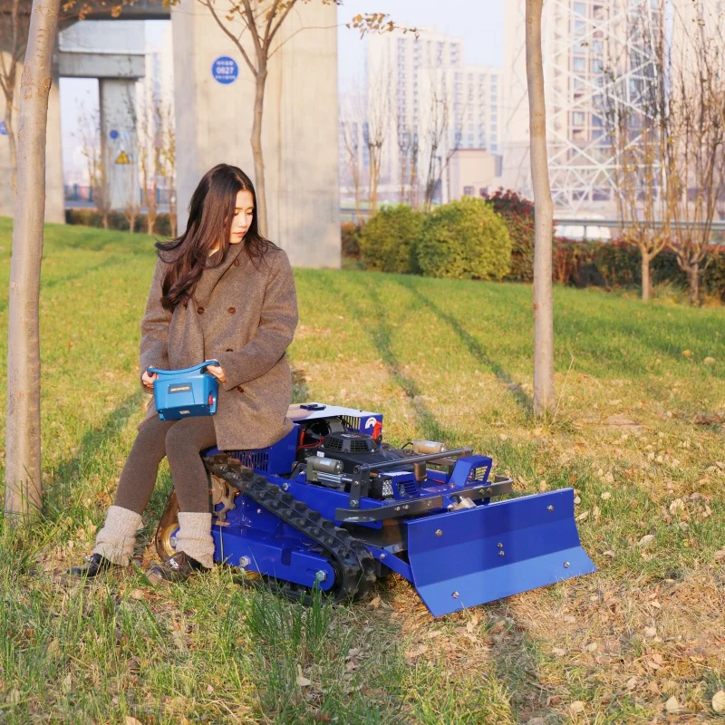 

Customized CE EPA Certified Lawn Mower - 550MM Cutting Width Smart Wireless Remote Control Unit for Residences