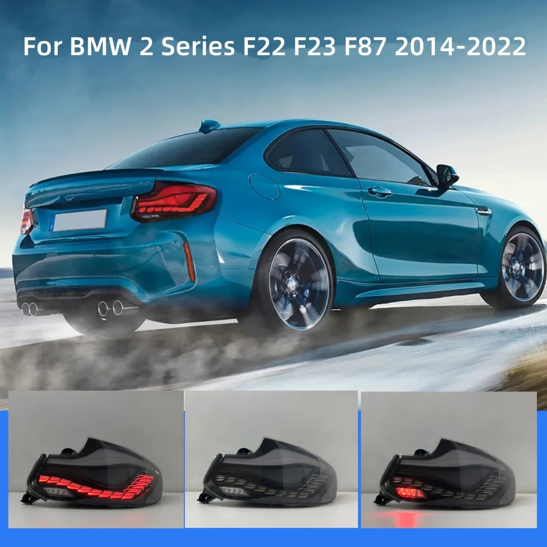 

For BMW 2 Series M2C F22 F23 F87 218 220i 230i 2014-2022 Modified Clear Dragon Scale LED Taillight DRL Rear Tail Light Lamp
