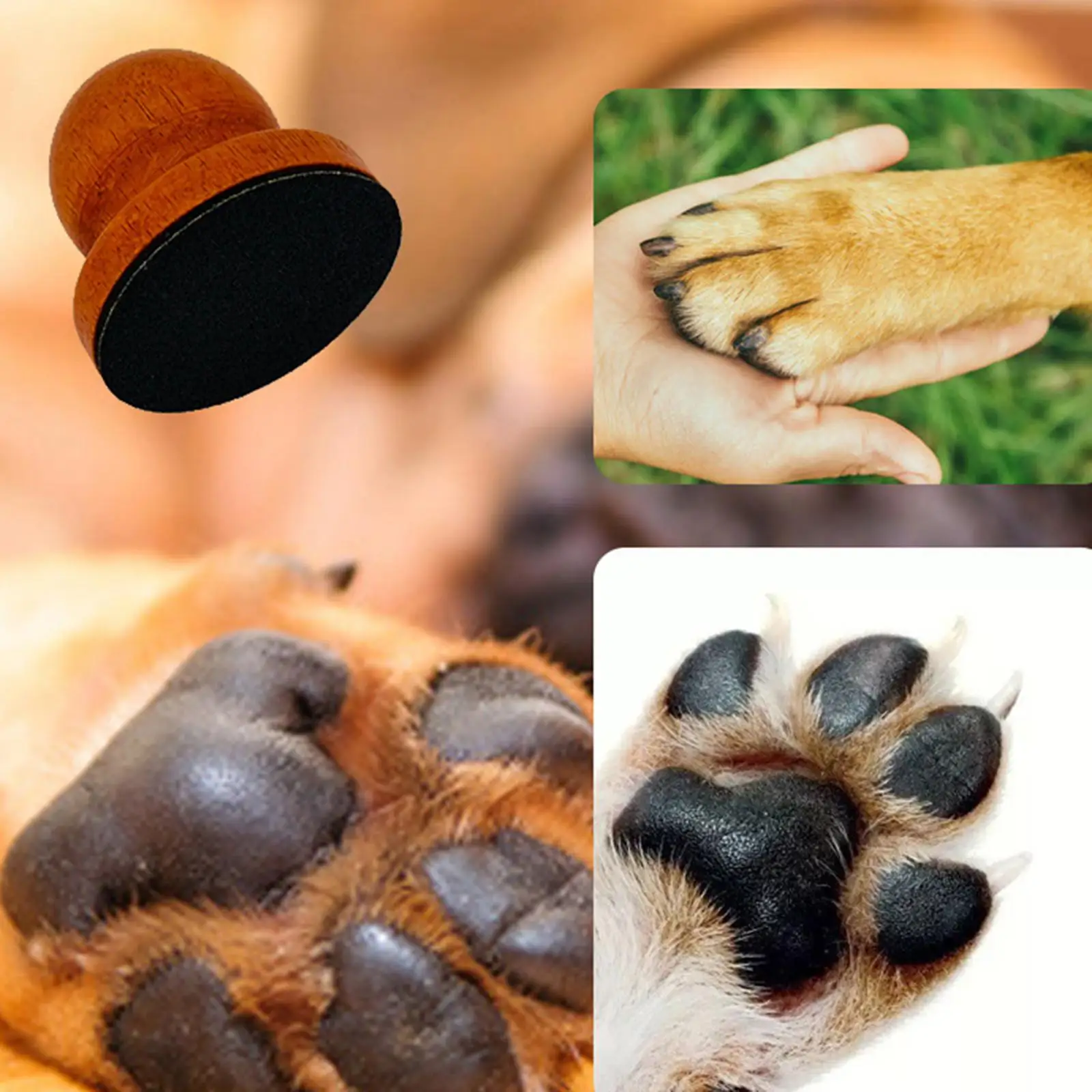 Dog Nail File Interactive Portable Grinding Claw Wooden Dog Nail Scratcher for