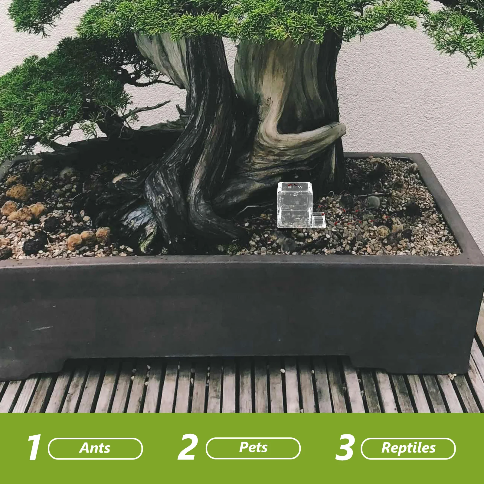 

2Pcs Clear Acrylic Ant Water Feeder Dish Multifunctional Pet Water Dispenser for Reptiles Small Animal Feeding Supplies