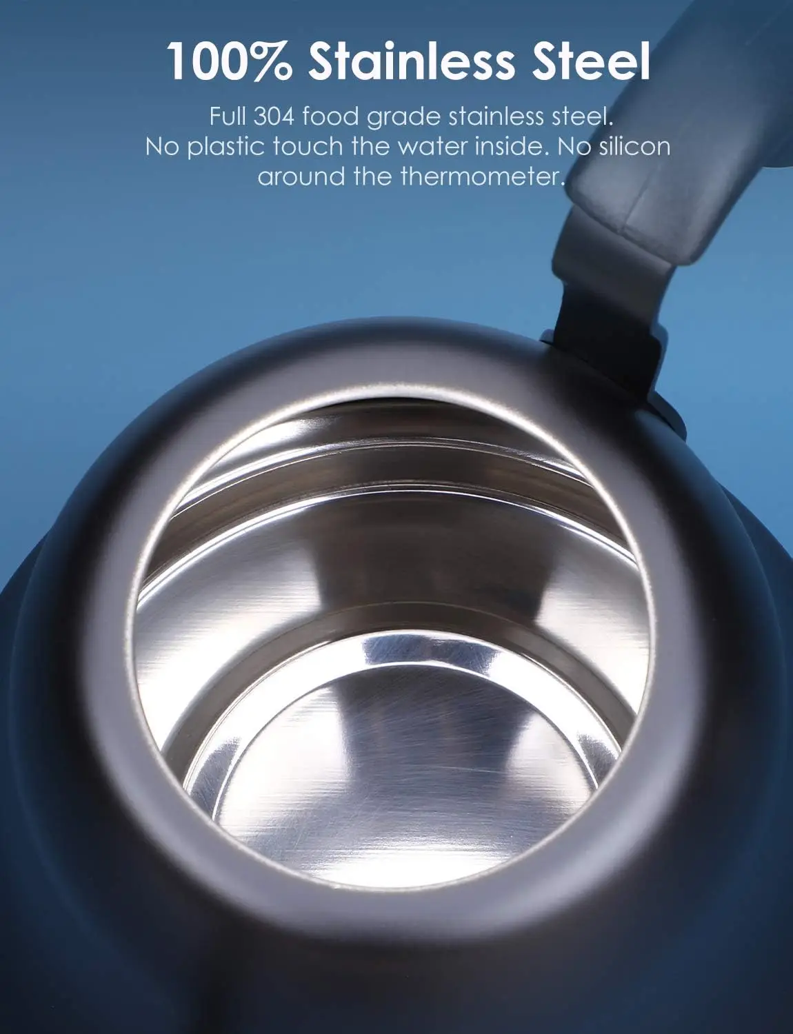 Tea Kettle with Thermometer Stovetop Gooseneck Kettle 28oz 0.8L Pour Over Coffee Pot, Matte Black Camping Home Kitchen Water Boi