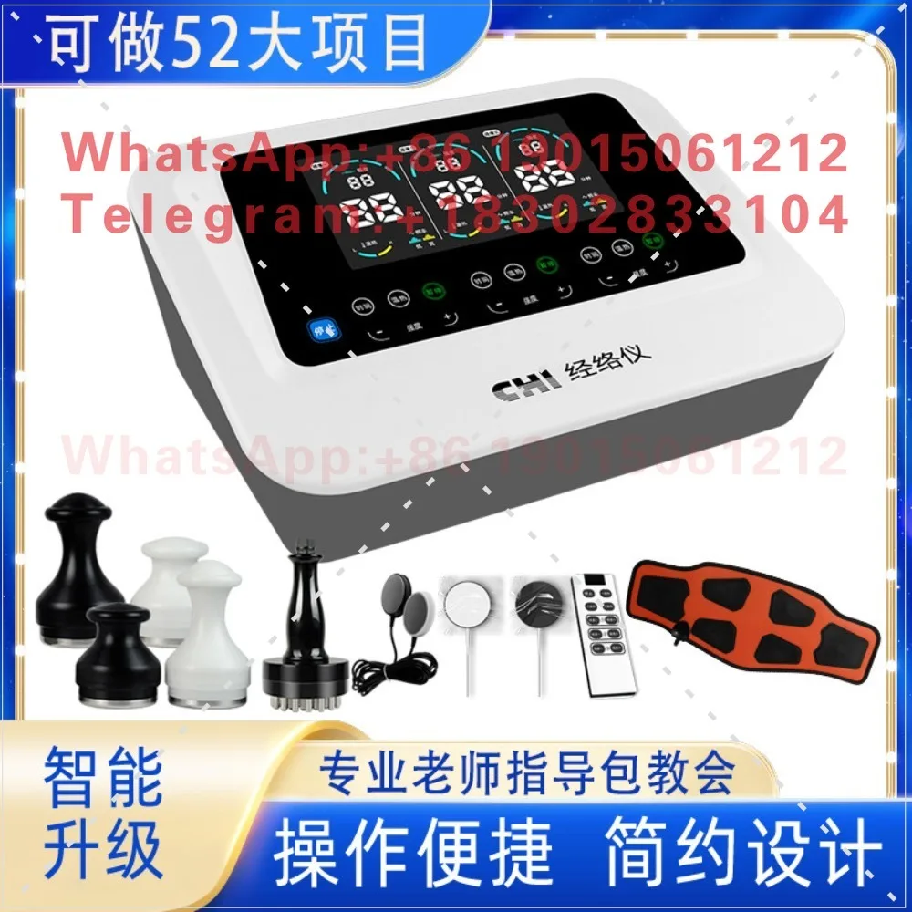 China Vitality Planting Meridian Instrument Double Volume CHI Vitality Value Electrotherapy Meridian Dredging Instrument