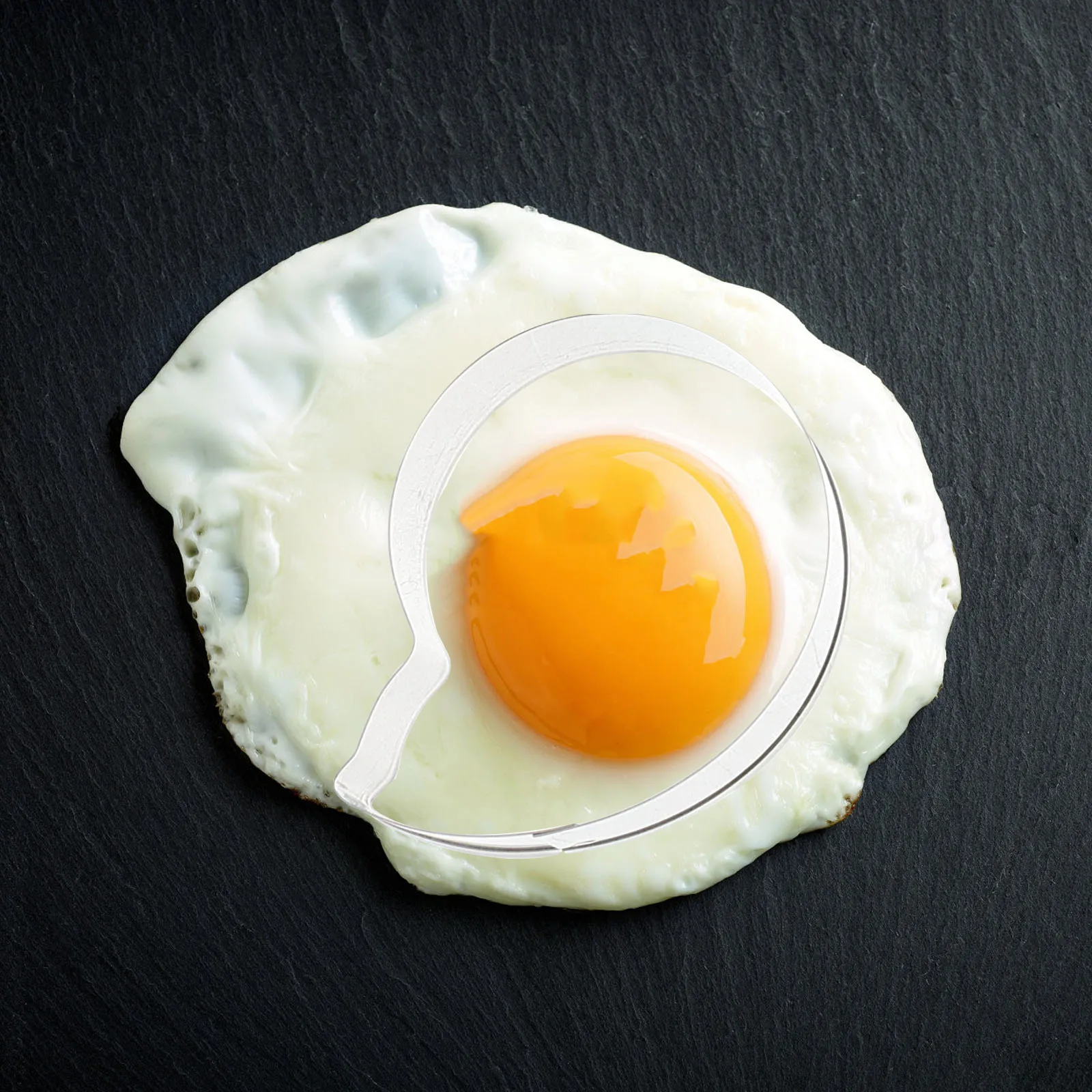 

9 Pcs Beach Cookie Cutter Set Making Tool Halloween Silver Stainless Steel Animal-shaped Baking Molds