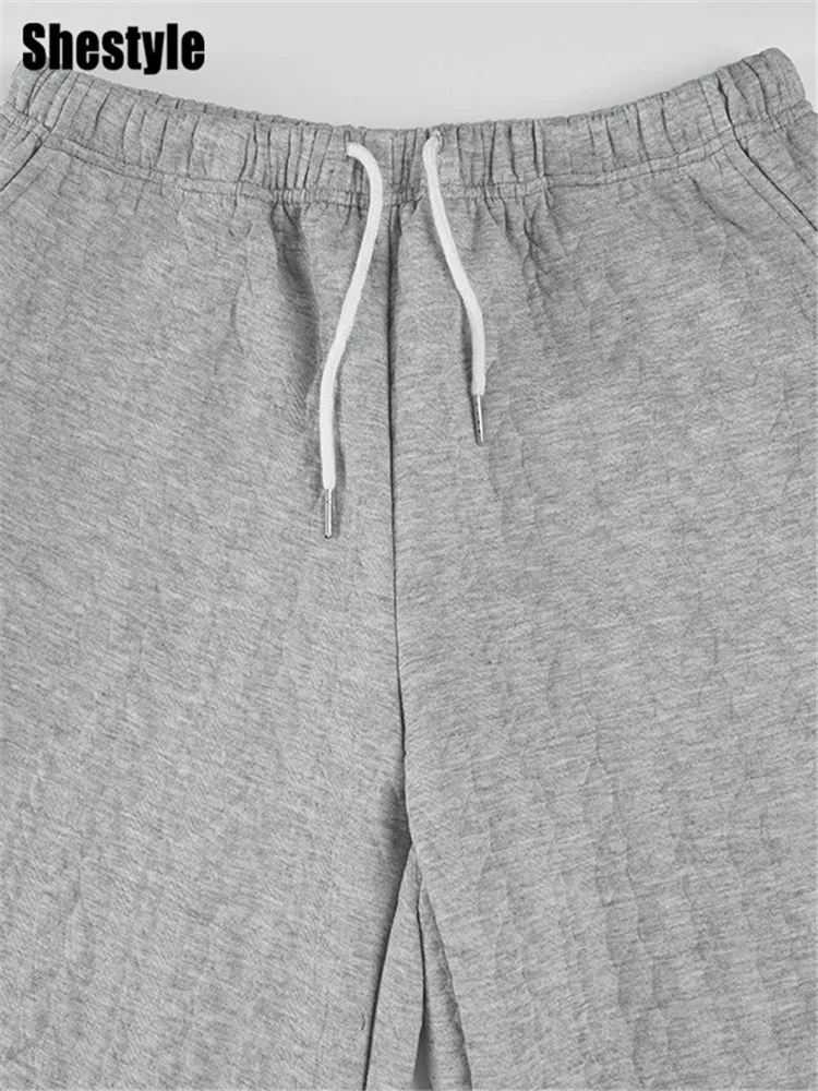 Shestyle Gray Sweatpants Autumn for Women Streetwear Drawstring Texture Staight Casual Loose Minimalist Wide Leg Trousers 2025