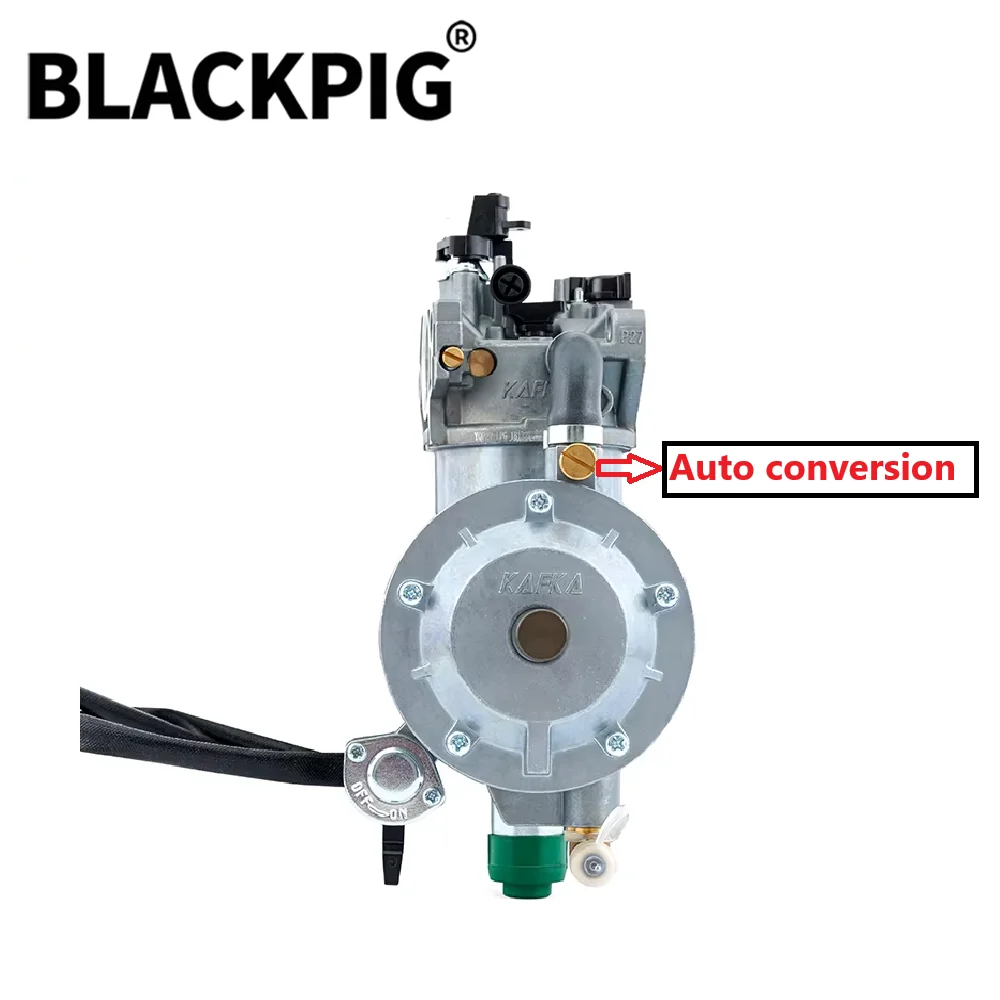 5KW 6.5KW 8KW EG6500 188F 190F Generator LPG Carburetor Dual Fuel Conversion Kit For Generator Parts 390cc/420cc Displacement