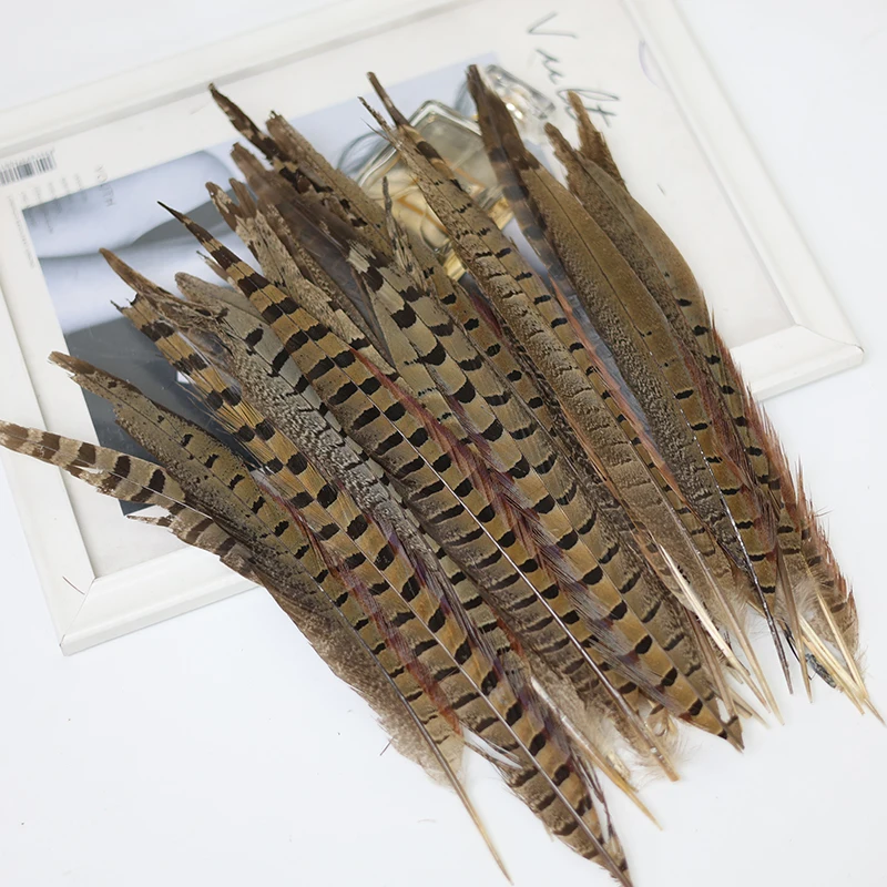 10Pcs Natural Ringneck Pheasant Feathers for DIY Crafts on The Head Decorative Feather Tail Party Festival Carnival Accessories