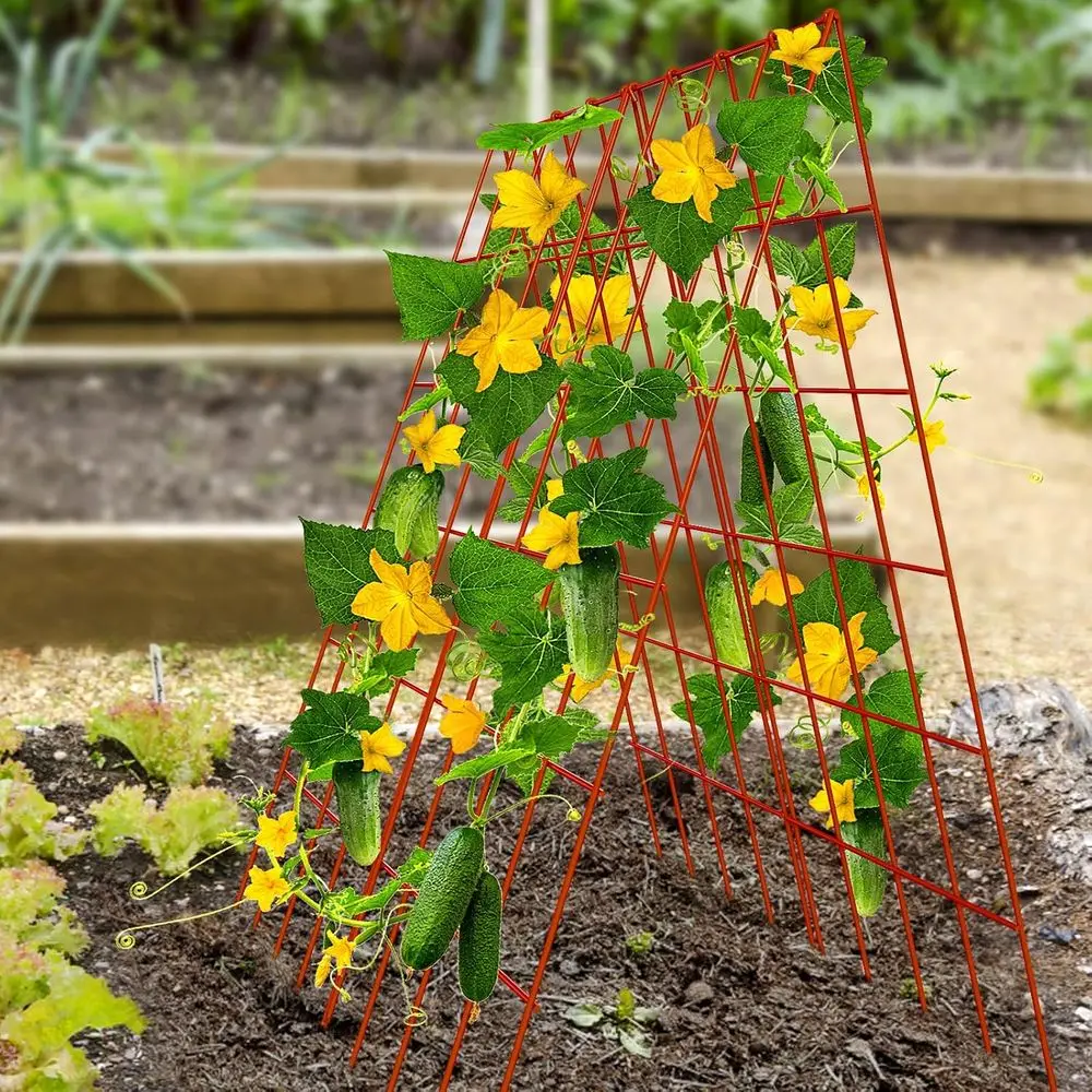 2-Pack Collapsible PVC-Coated Steel Cucumber Trellis for Outdoor Garden Support