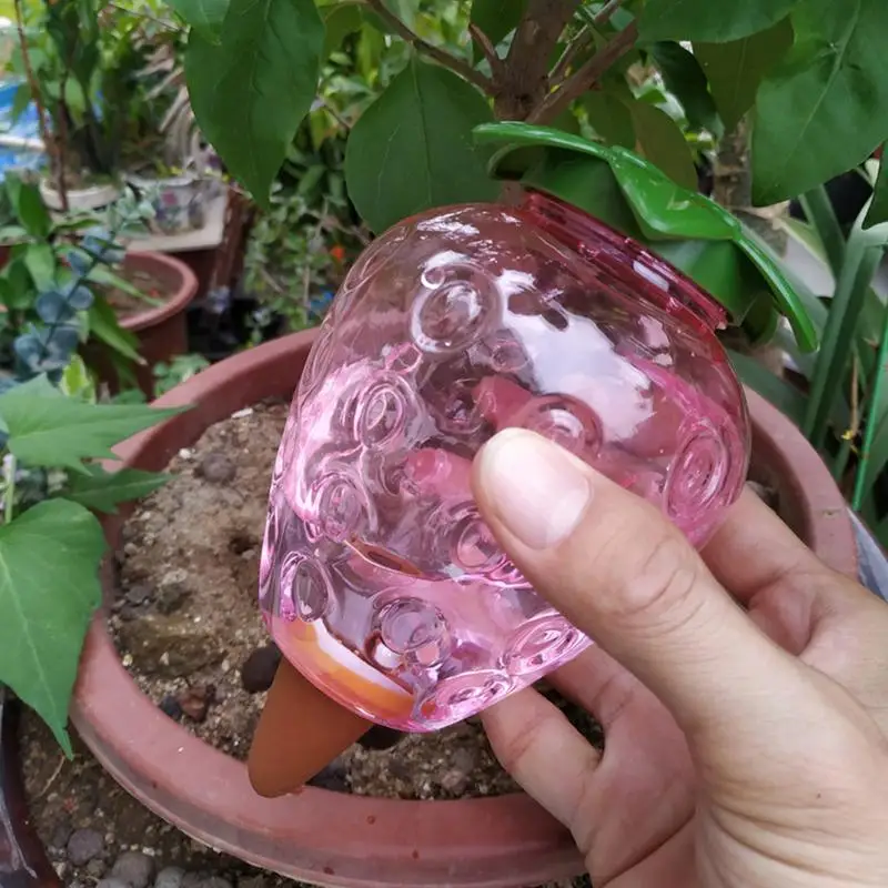Automatic Water Bulbs Flower Feeder Balls Irrigation Device Transparent Unique Shaped Aqua Bulbs For Indoor Outdoor Plants Grow