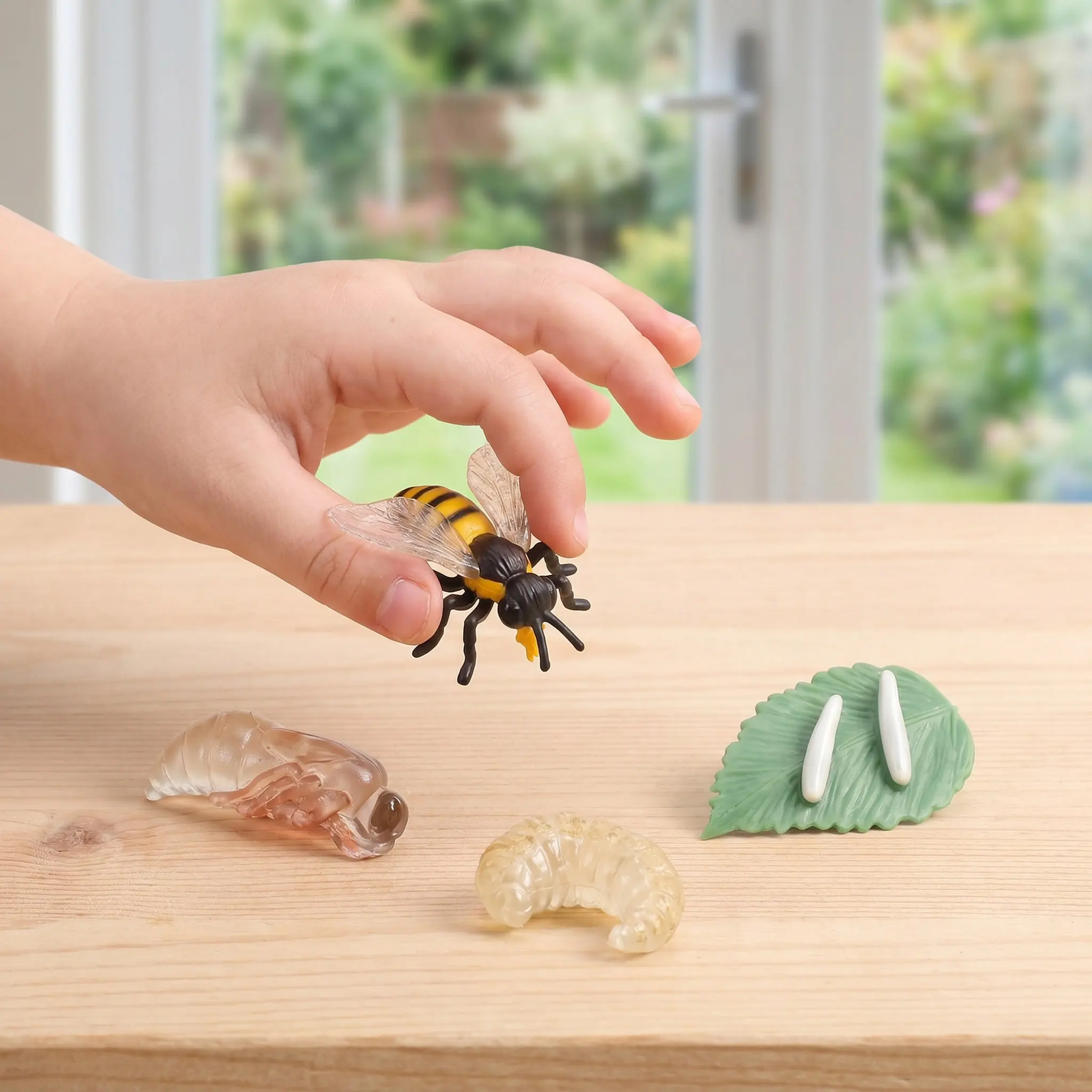 1Set Bee Growth Cycle Educational Insect Simulation Display for School Science Teaching Supplies Figure Model Cycle Model