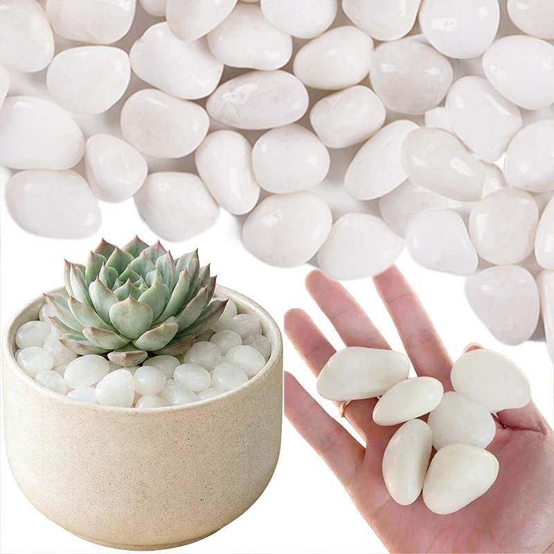 Polished Pebble Stones Bulk (300~900 Gram) – Smooth Shiny Surface 2-4cm River Rocks, Aquarium Substrate flowerpot Dressings TMZ