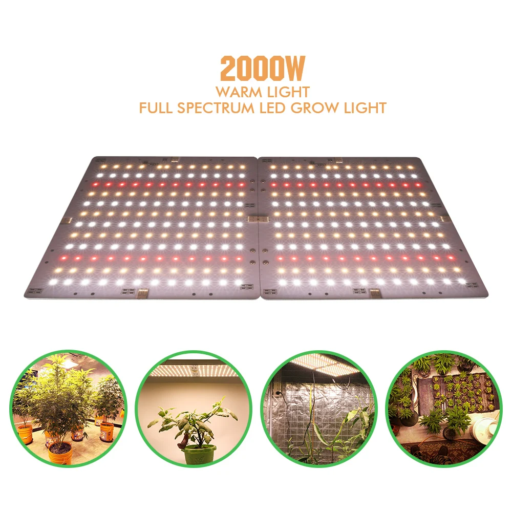 2000W Led Grow Light Ultrathin 288beads Full SpectrumSMD3030 Panel for Indoor Plants Flower Grow Tent Growbox with MW Driver