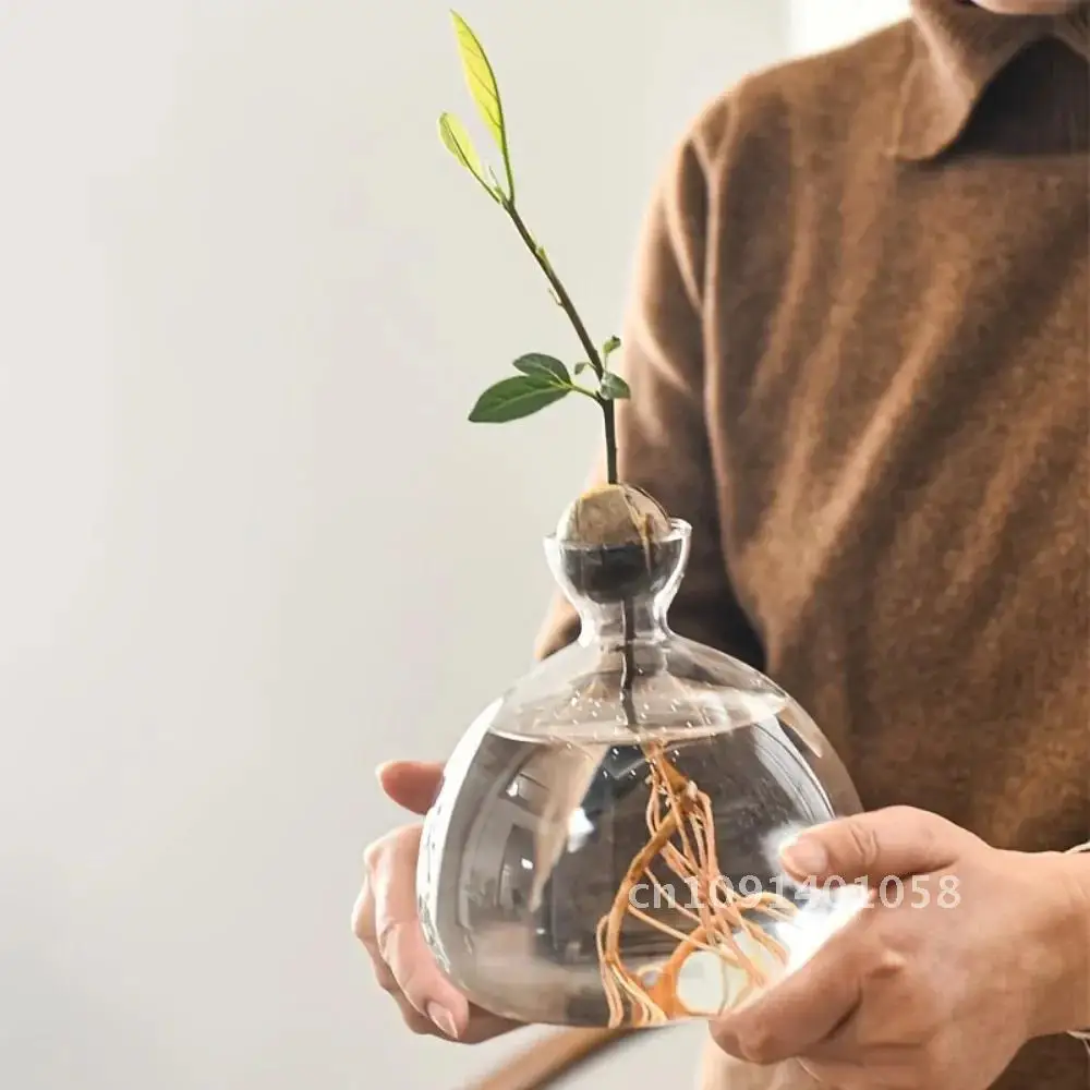 1Pcs Sprouting Seed Starter, Planter Vase Glass Container, Planter Acorn Tree Grow Kit Decorative, Glass Bulb Spreader Vase.