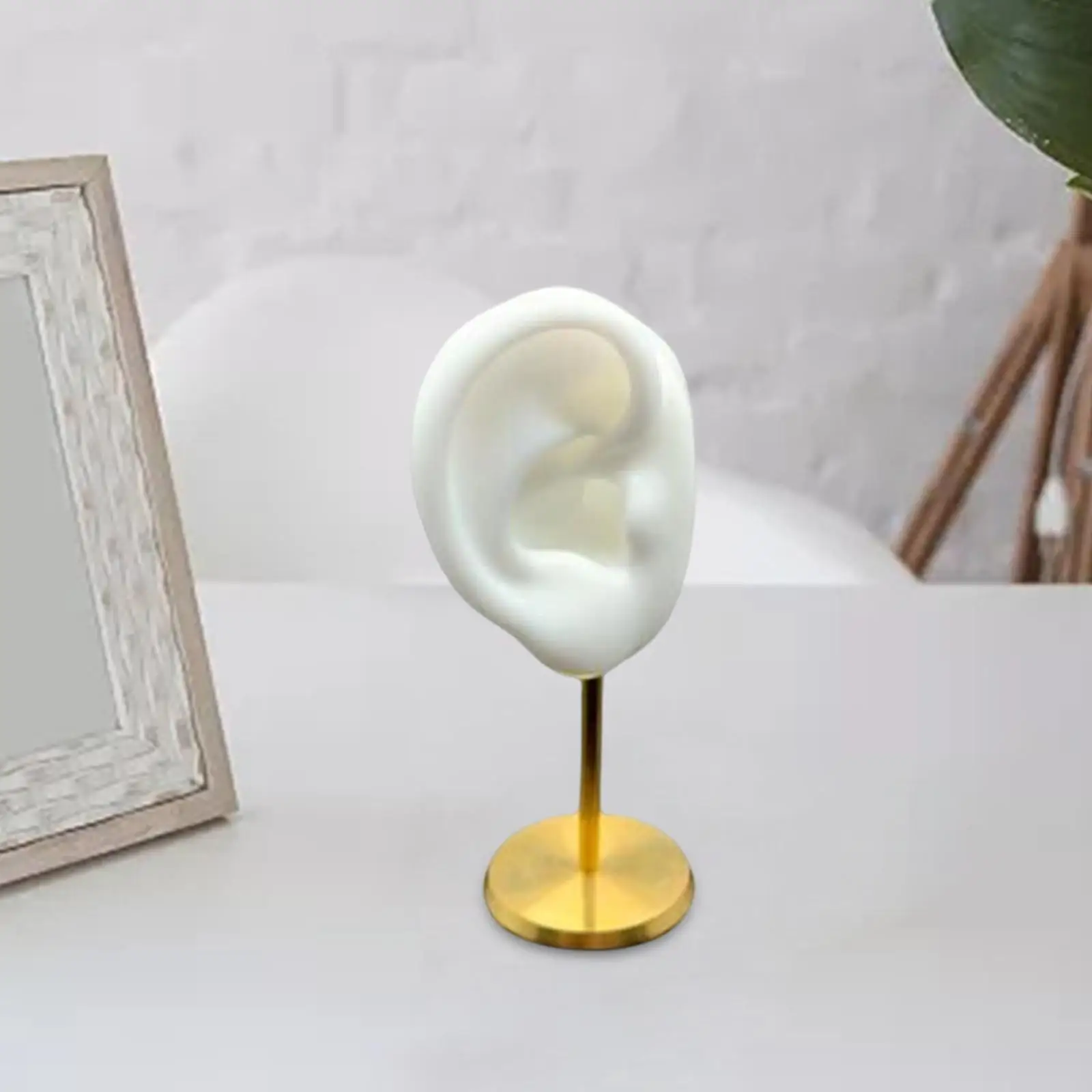 Earring Display Stand Human Ear Model Stable Jewelry Organizer for Showcase