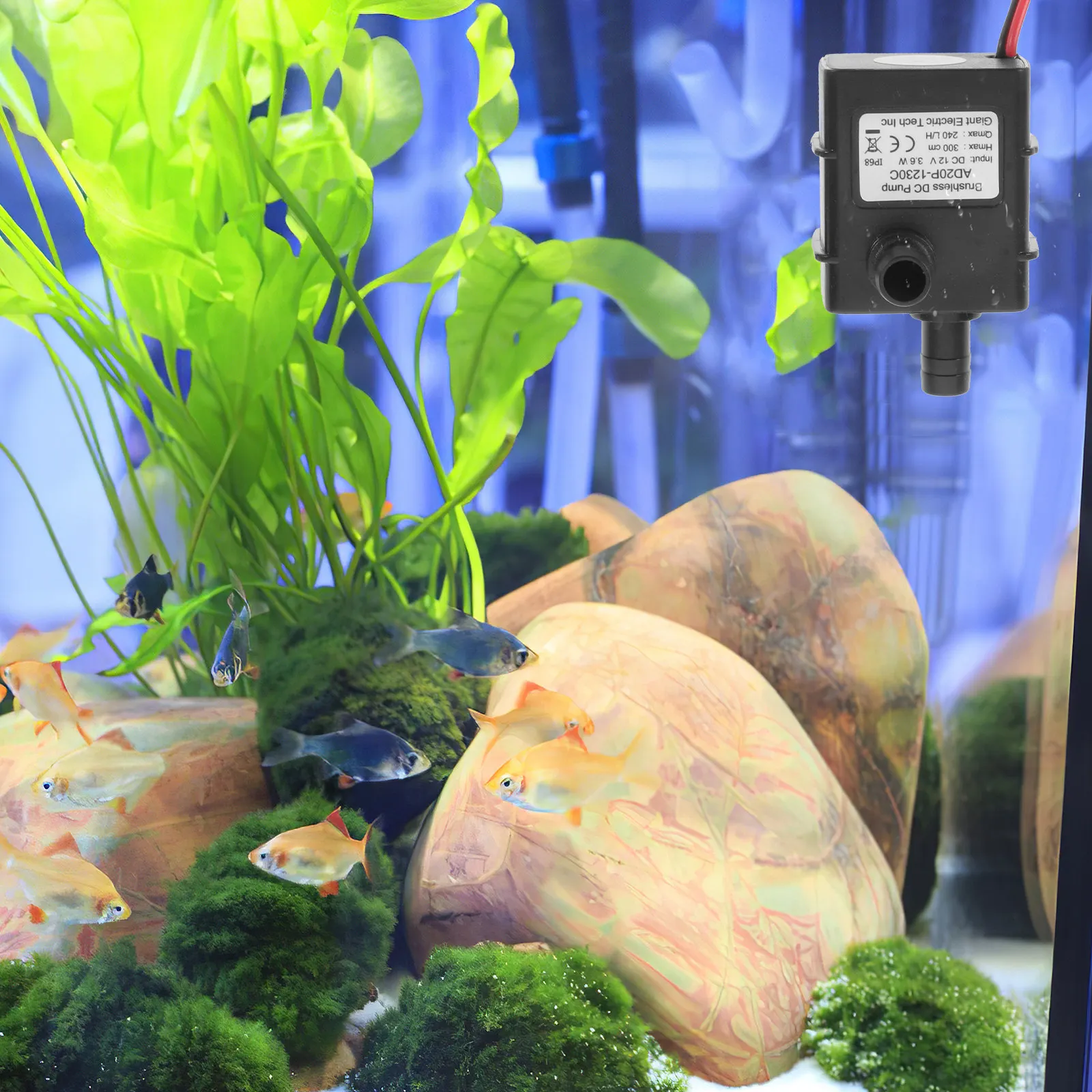 

Submersible Pump DC12V 4.8W Small Size Low Noise Freshwater Aquarium Water Garden Hydroponic Systems Permanent