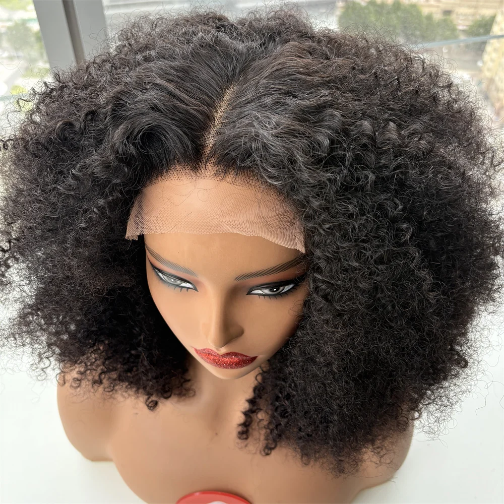 Glueless Wig Human Hair Afro Kinky Curly 5x5 Closure Lace Wig Human Hair For Brazilian Women Wear And Go 400%