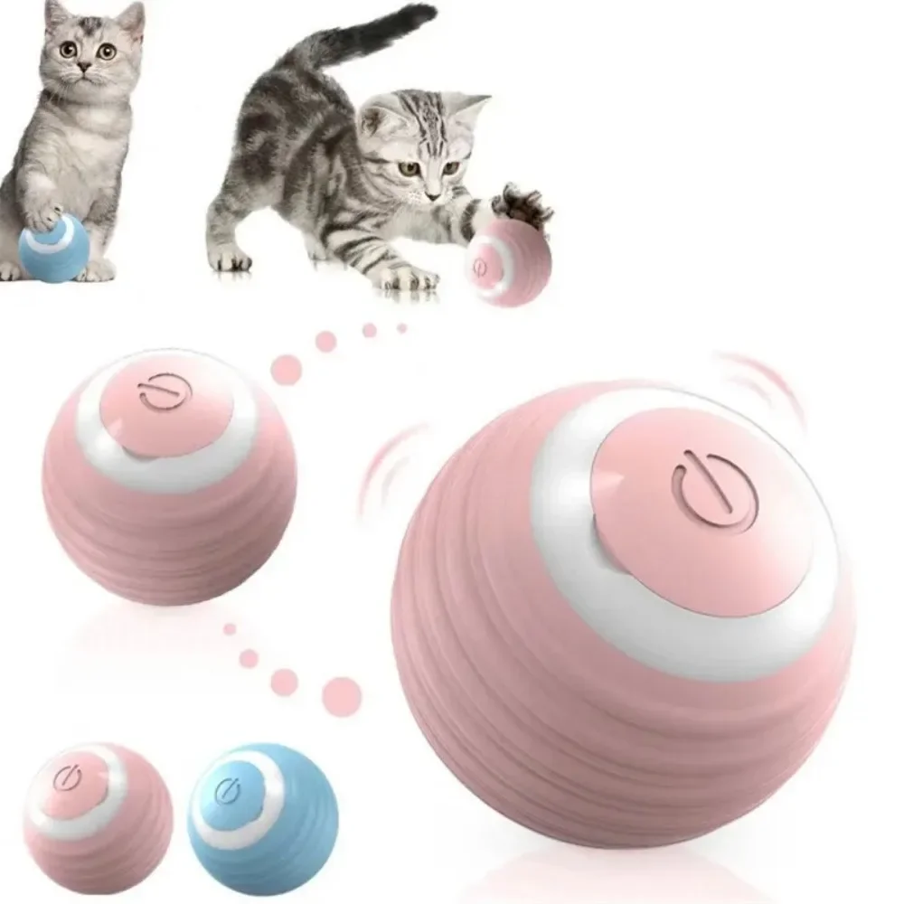 Interactive Cat Toy Ball Roll Pet Things Stuff Products Offer Supplies Games Kitten Accessories Katzen Gadgets Goods Articles