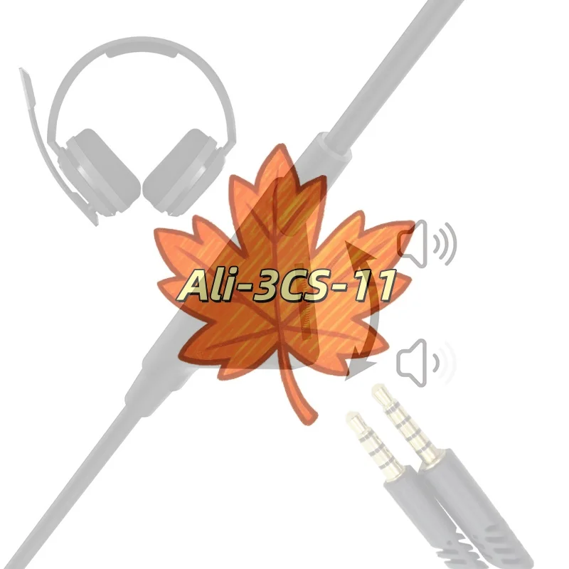 Replacement Audio C…