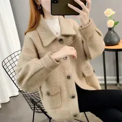 Autumn and Winter Women's Faux Mink Fur Short Jacket Women's Short Top Korean Version Versatile Golden Mink Solid Color Jacket