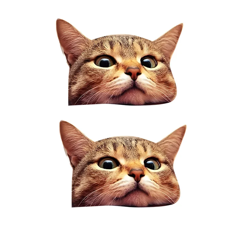 قطعتان من ملصقات الفينيل الرائعة لنافذة القط مقاس 13 × 9 سم، ملصق مقاوم للماء ثلاثي الأبعاد مضحك للسيارة والشاحنة وسيارات الدفع الرباعي والكمبيوتر المحمول