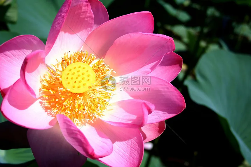 

Алюминиевый комплект колес с бедлок-дисками 1.9 дюйма и шинами для радиоуправляемых краулеров 1/10 Trxs TRX4 TRX6 D90 Axial SCX10 90046 RC4WD