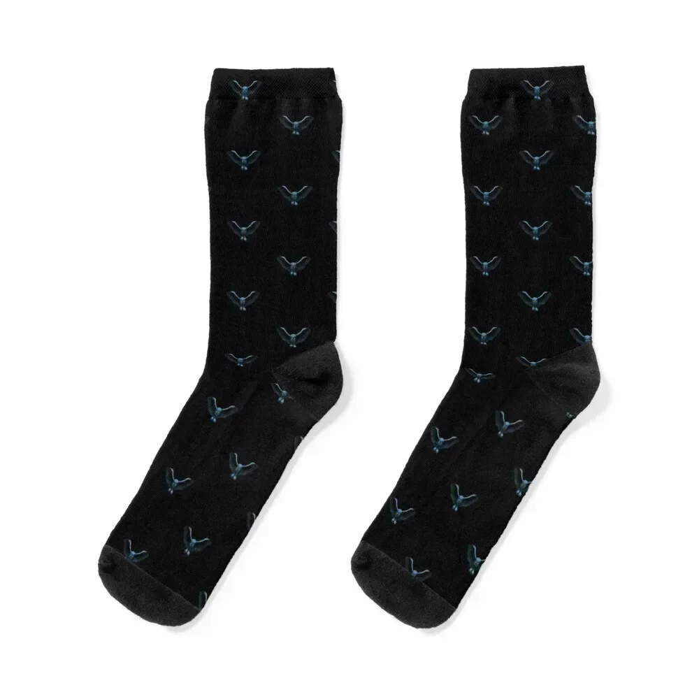 

blue owl Socks cycling football basketball Stockings man Ladies Socks Men's