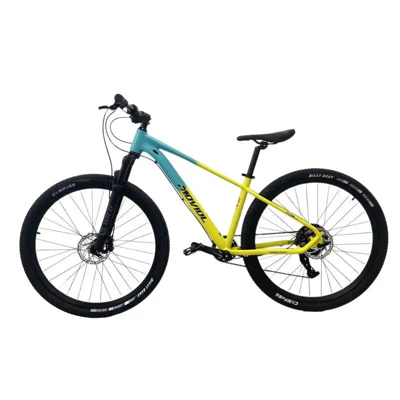 

Manufacturers 29 Mountain Aluminum Alloy Adult Customized Frame 10 Speed City Bike