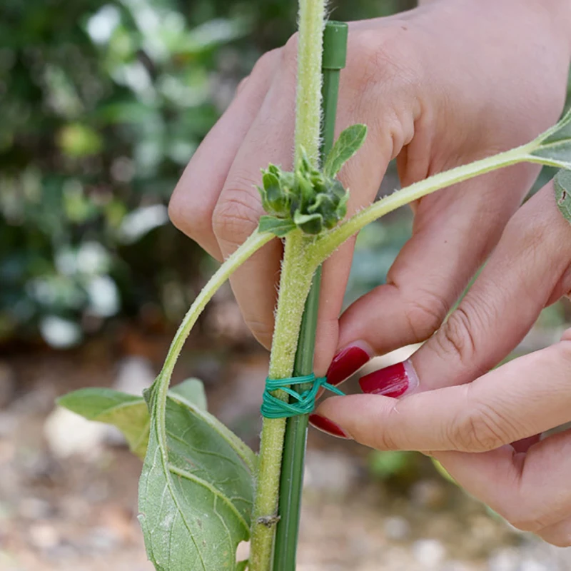 Multifunctional Garden Strapping Climbing Cane Fixed Line Reusable Flower Plant Support Strap Tie Bush Garden Tool