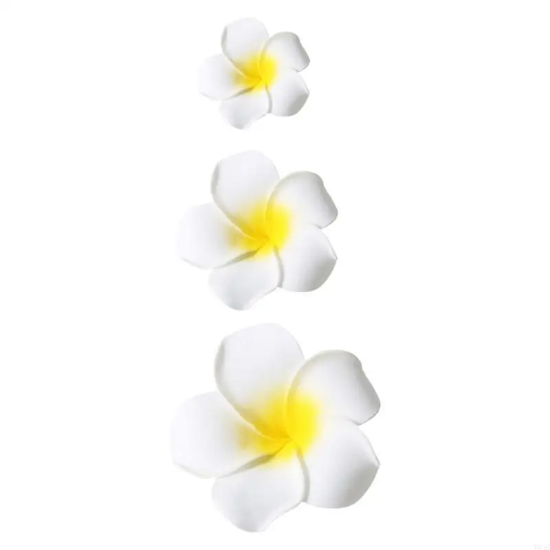 Apparel Accessories
