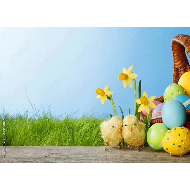 قطرات التصوير الفوتوغرافي لبيض عيد الفصح ، إكسسوار استوديو التصوير الفوتوغرافي ، زهور الربيع ، صورة الطفل ، خلفية