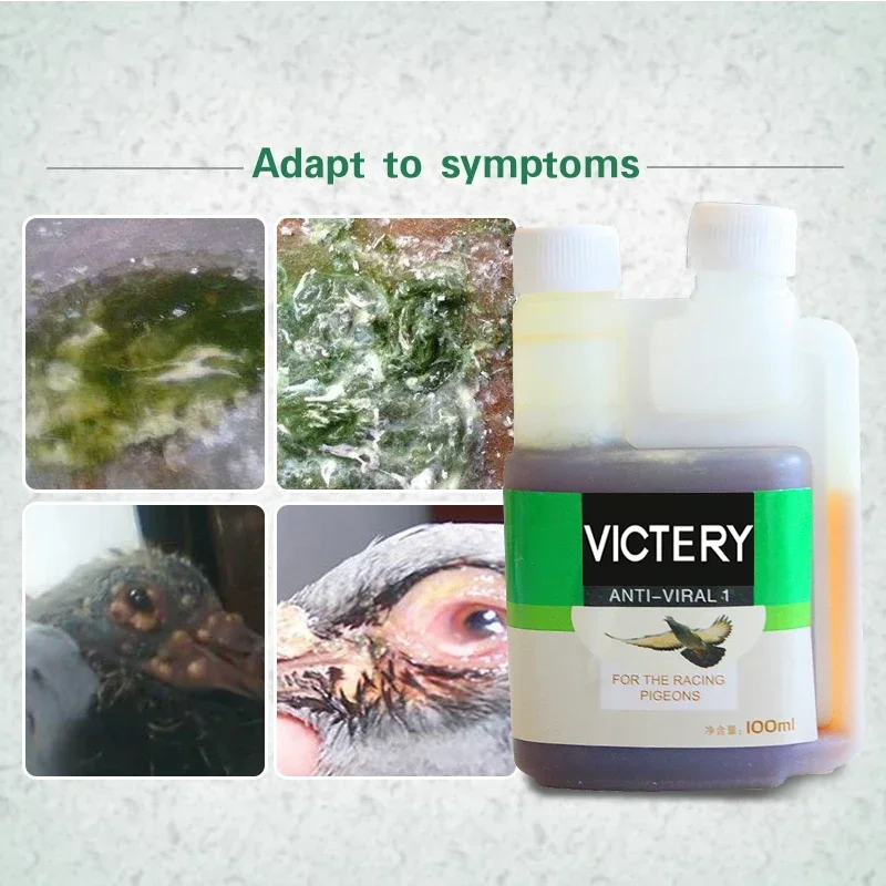 Pigeon medicine anti-disease bacteria No. 1 common disease letter Sai Laxi water green stool pigeon used in the intestine