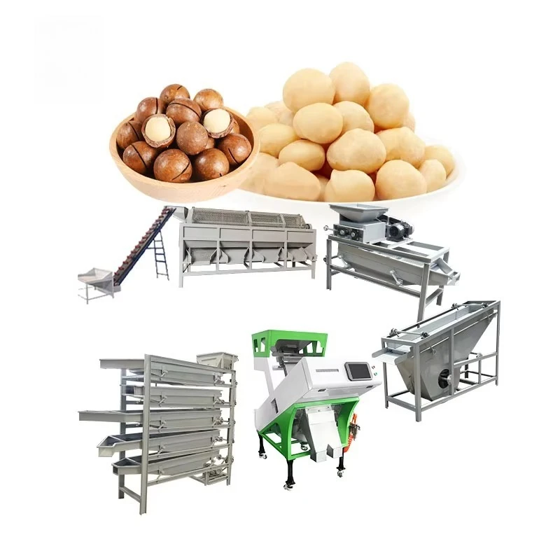 Customize Nuts Plant Equipment Production Line Peanut Pistachio Pine Walnut Almond Hazelnut Macadamia Nut Processing Machine