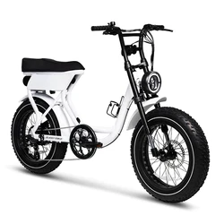 Electric Fat Tire Bike Hydraulic Electric Mountain Bike Brake Ebike Road Ebike EU Warehouse Electric City Bike 250w 750w Fatbike