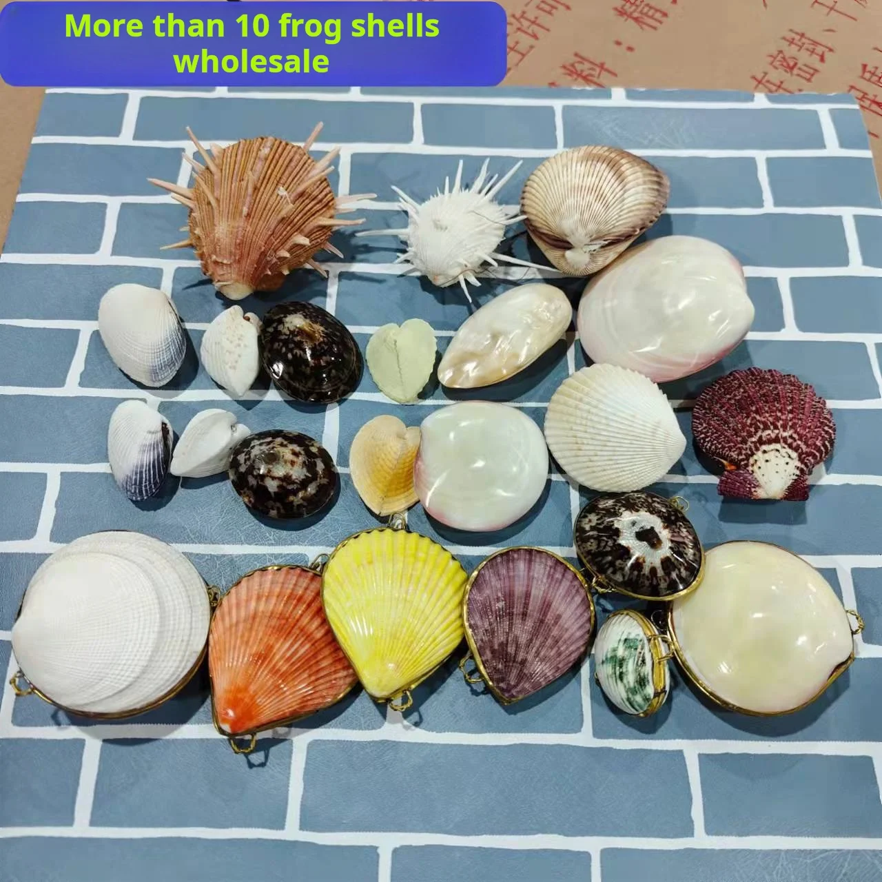 Conchas de mar, conchas de perlas, pintura al óleo, vieiras, artefactos.