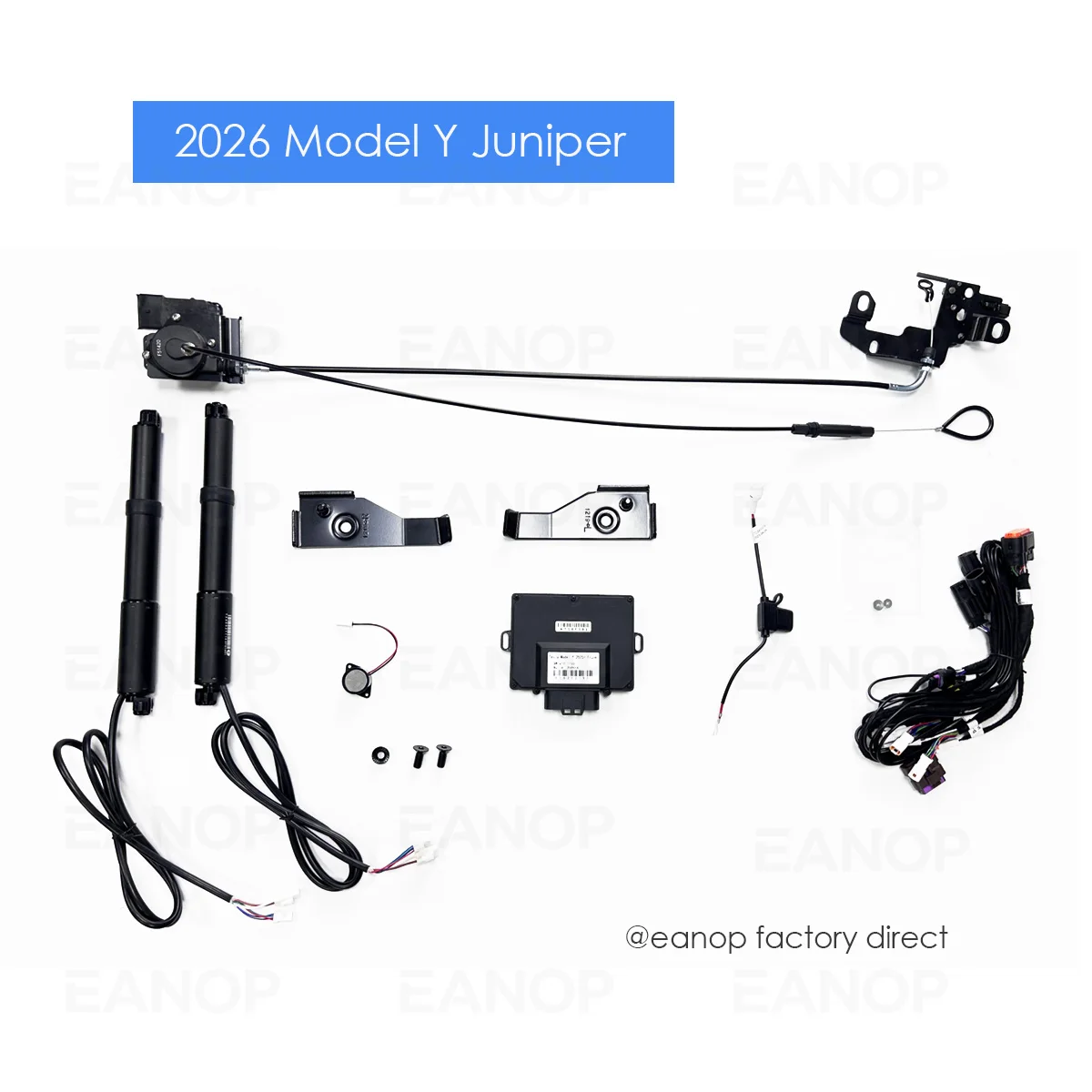 Model Y Juniper