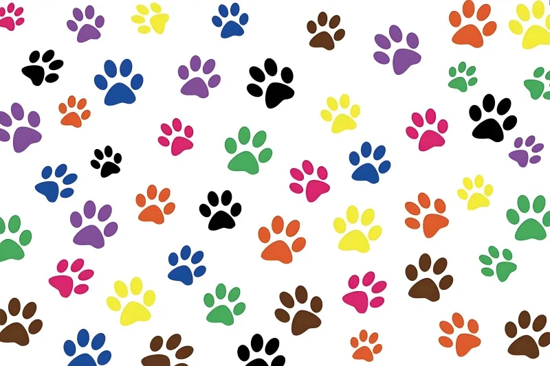 خلفية التصوير الفوتوغرافي بطباعة مخفية ، استحمام الطفل ، حفلة دورية لمخلب الكلب ، ديكور طاولة كعكة عيد الميلاد الأول ، خلفية الصورة