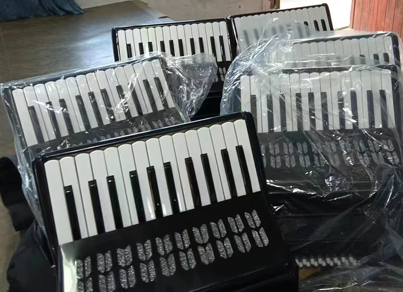 Accordion 16 Bass 25 Key Musical Instrument Portable for Student Learning Daily Practice & Stage Performance