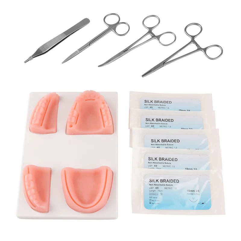 Conjunto de modelo de sutura dentária, exercício de simulação de dentistas, prática de feridas dentárias, simulação de feridas orais