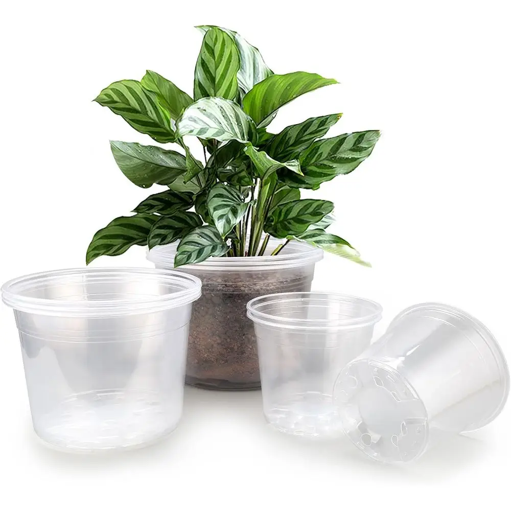 Set of 9 Clear Nursery Pots with Drainage for Seedlings, Suitable for Indoor and Outdoor Gardening (7, 8, 10 Inch)