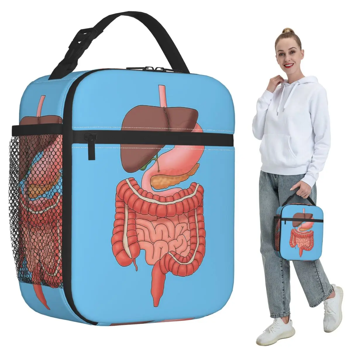 Digestive System Organs, Medical Illustration Insulated Lunch Bag Cooler Thermal Food Box Tote Portable Lunch Boxes Container