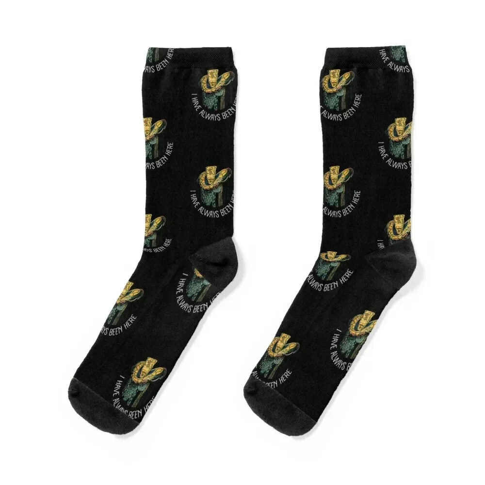 The Ambassador - I have always been here - Black - Sci-Fi Socks cartoon tennis Socks Women Men's