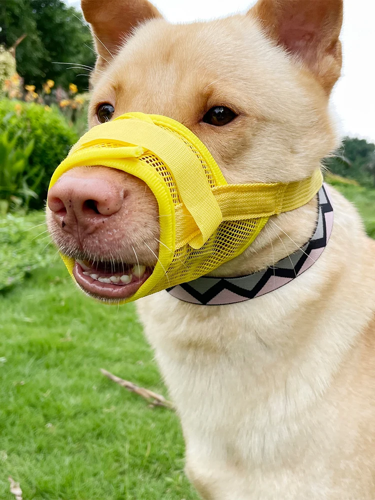 Dog muzzle Prevents biting barking and accidental eating prevents slipping off fits small medium large dogs adjustable