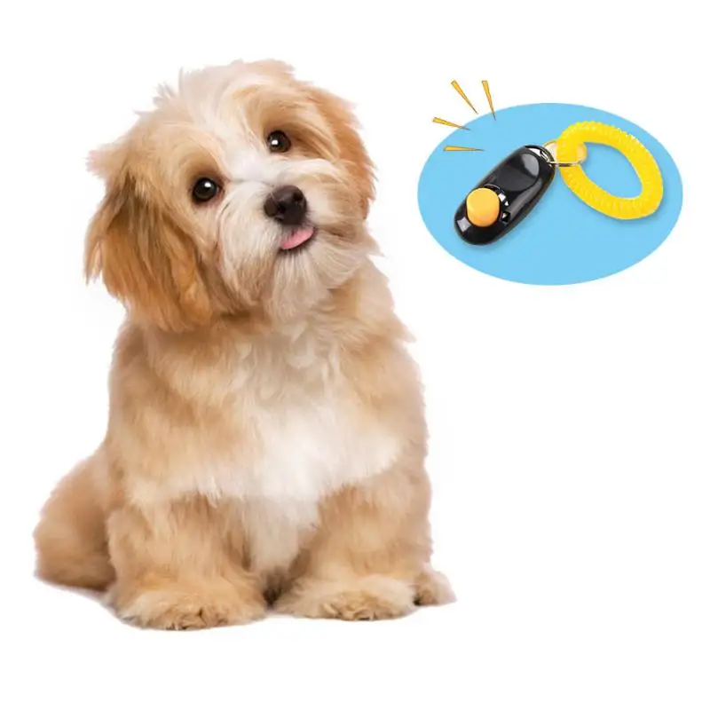 Adjustable Wrist Strap Durable Material New Dog Obedience Best Selling Clicker Sound Key Chain Whistle Dog Training Plastic