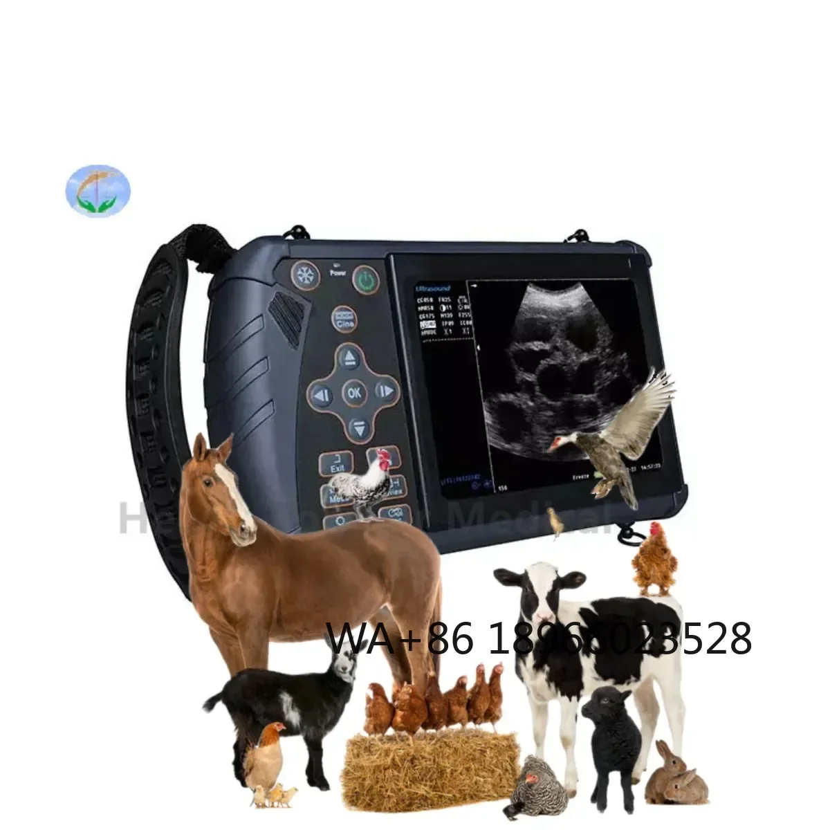 

Cheap Price Medical Ultrasound Scanner Digital Handheld Portable Veterinary 3d 4d Ultrasound Machine For Animal