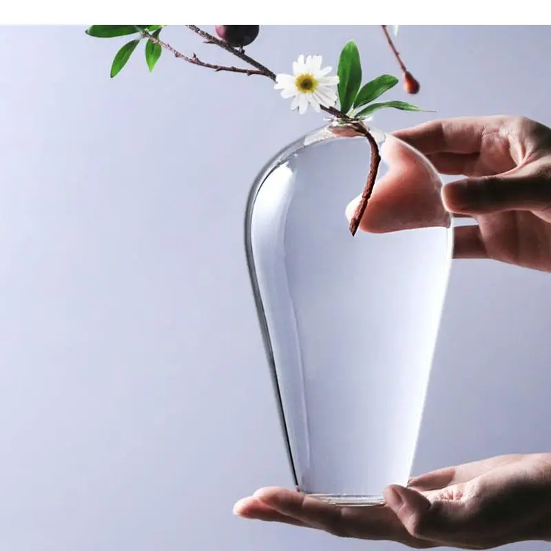 Blumenvase, Heimdekoration, Glasvasen, transparent, mattiert, für Hydrokulturblumen, zum Einsetzen von Blumen, florales Dekorationszubehör, modern