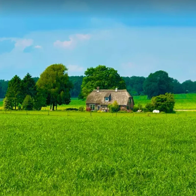 

Цифровой сервопривод JX Servo B130 — мега крутящий момент 130 кг, полностью металлическая шестерня с ЧПУ, бесщеточный, для радиоуправляемых автомобилей, грузовиков и робототехники 1/5