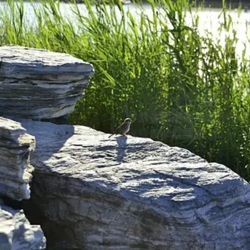 

GEP-M10 GPS Module 15X15mm GEP-M10 / 22X22mm Compass Baro Dual Compass + Baro Integrated