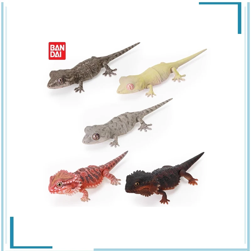 BANDAI Genuine Gashapon BiologyIllustrated Guide Gekko Collect Ornaments  Holiday Gifts Childhood Memories Figure Model Toys