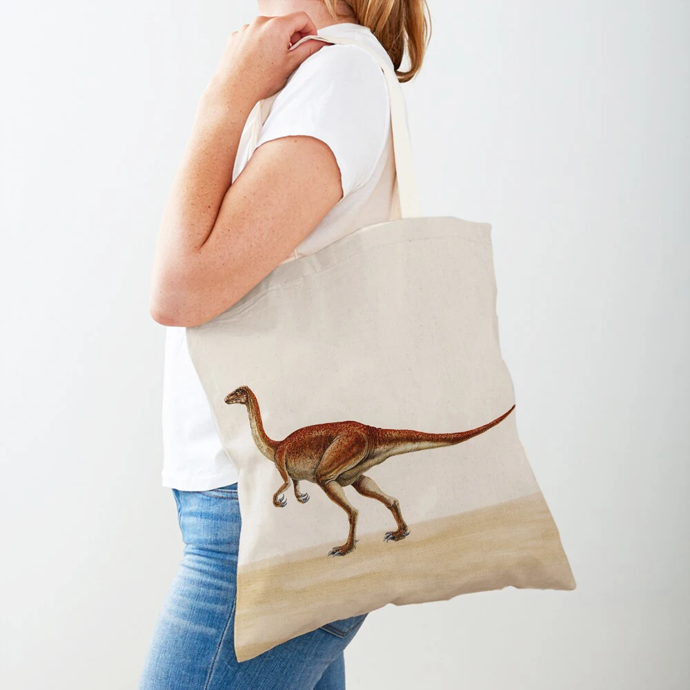 Bolsas de compras de dinosaurio Jurásico, bolso de viaje para niños de ambos lados, bolso de compras de lona con estampado de animales bonitos de dibujos animados, bolso informal