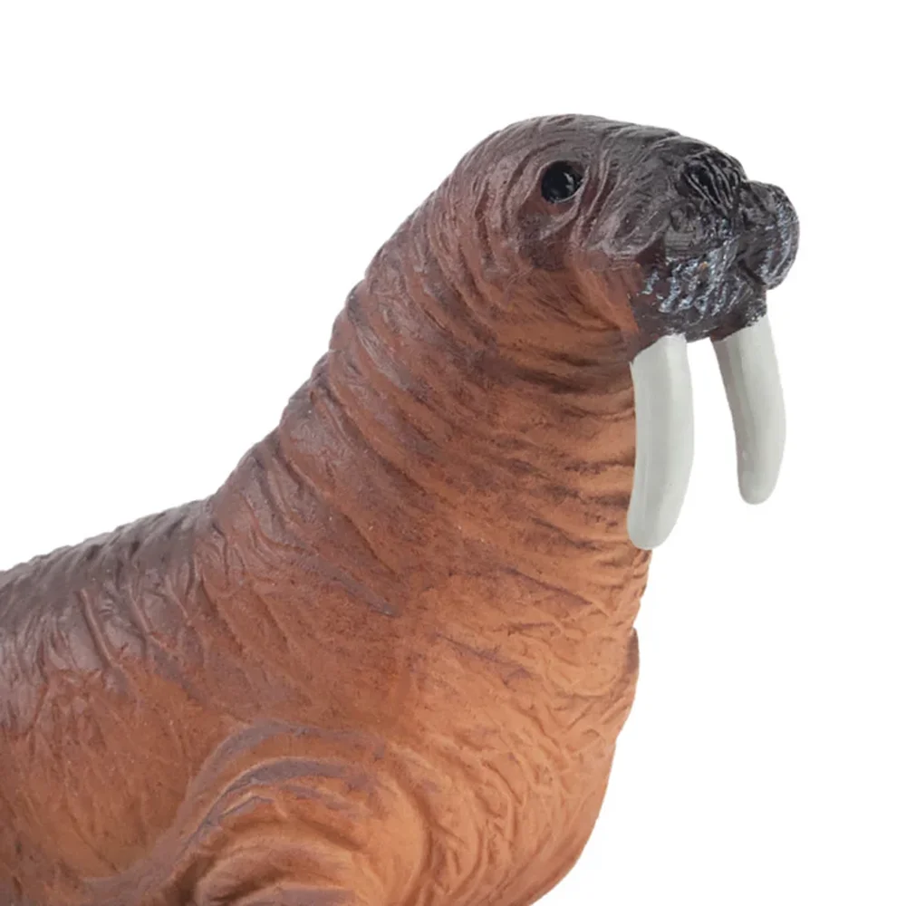 Toymany محاكاة الفظ المحيط نماذج للحيوانات لعبة شخصيات صغيرة دمى عمل التماثيل لعب الأطفال هدية كعكة الديكور #6